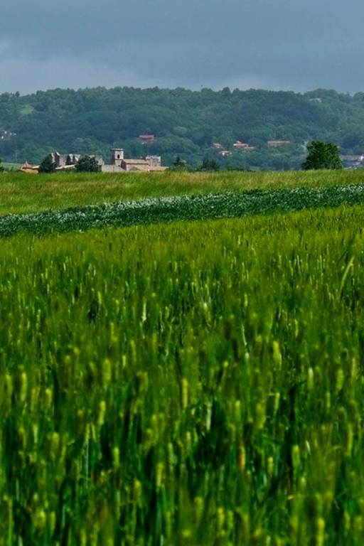il nostro miraggio (foto a. bergamino)