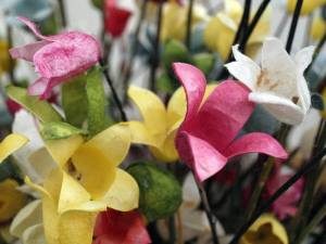 10500481_10204273858235399_2041804397232325883_n