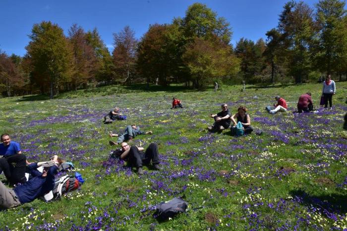 13131588_1582442002086612_6570120369009689118_o