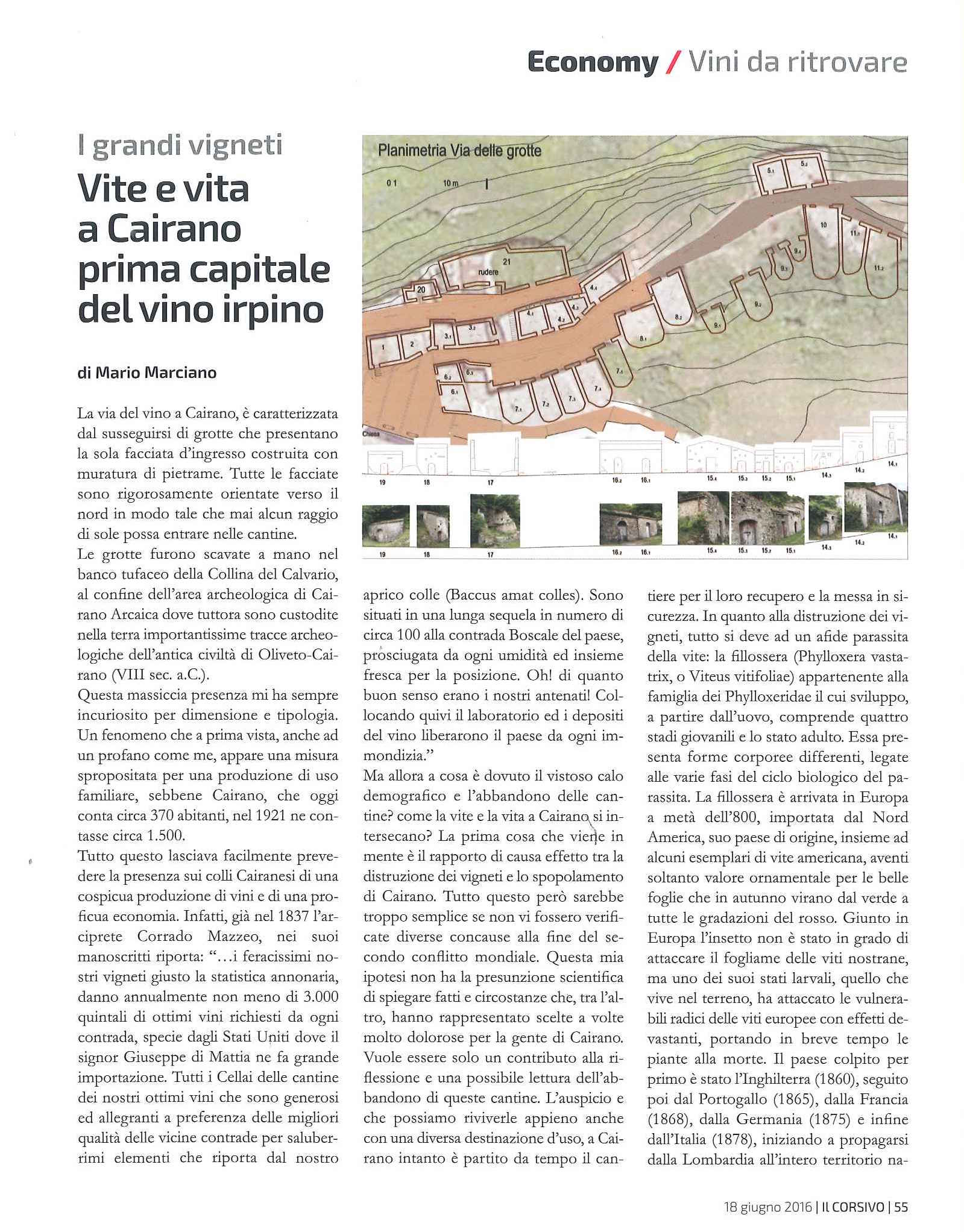 il corsivo cantine cairano marciano 1.jpg