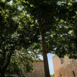 -goleto irpinia 7x condivisi da montemarano gesualdo cairano&nbsp;2