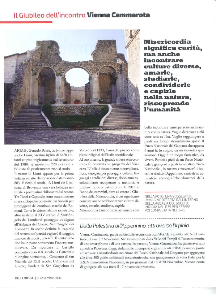 20161128091839509_0002