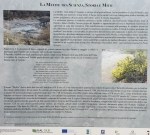 2017 05 07 Cammino di Guglielmo _ foto angelo&nbsp;verderosa7998