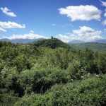 2017 05 07 Cammino di Guglielmo _ foto angelo&nbsp;verderosa8034