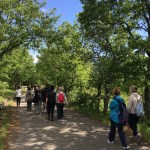 2017 05 07 Cammino di Guglielmo _ foto angelo&nbsp;verderosa8116