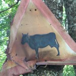 2017 05 07 Cammino di Guglielmo _ foto angelo&nbsp;verderosa8117